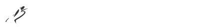 hongdi-logo(hongdibrakes.com)